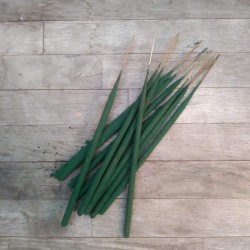 Tridev velvet series agarwood