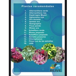 Alive Jardin Vertical Alive Jardin Vertical
