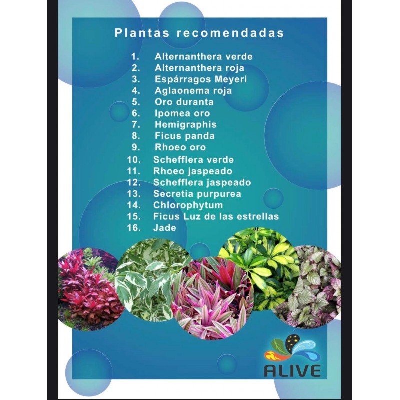 Alive Jardin Vertical Alive Jardin Vertical